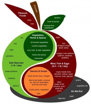 Perfect Health Food-Plate-600dpi.jpg