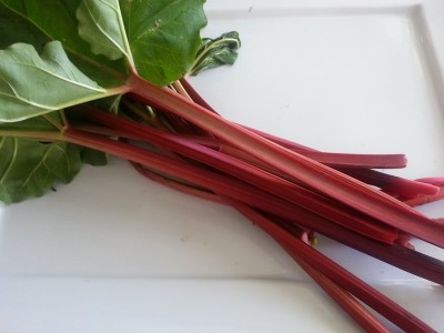 rhubarb-jan-2014.jpg